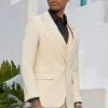 "Sharkskin Slim Fit Wedding Suit: Men's Double Breasted Vest In Tan" 3 "Sharkskin Slim Fit Wedding Suit: Men's Double Breasted Vest In Tan" -Alberto Nardoni Shop 9A0R2PW
