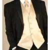 Black Tuxedo Suit - Vest,Tie & Bowtie Set